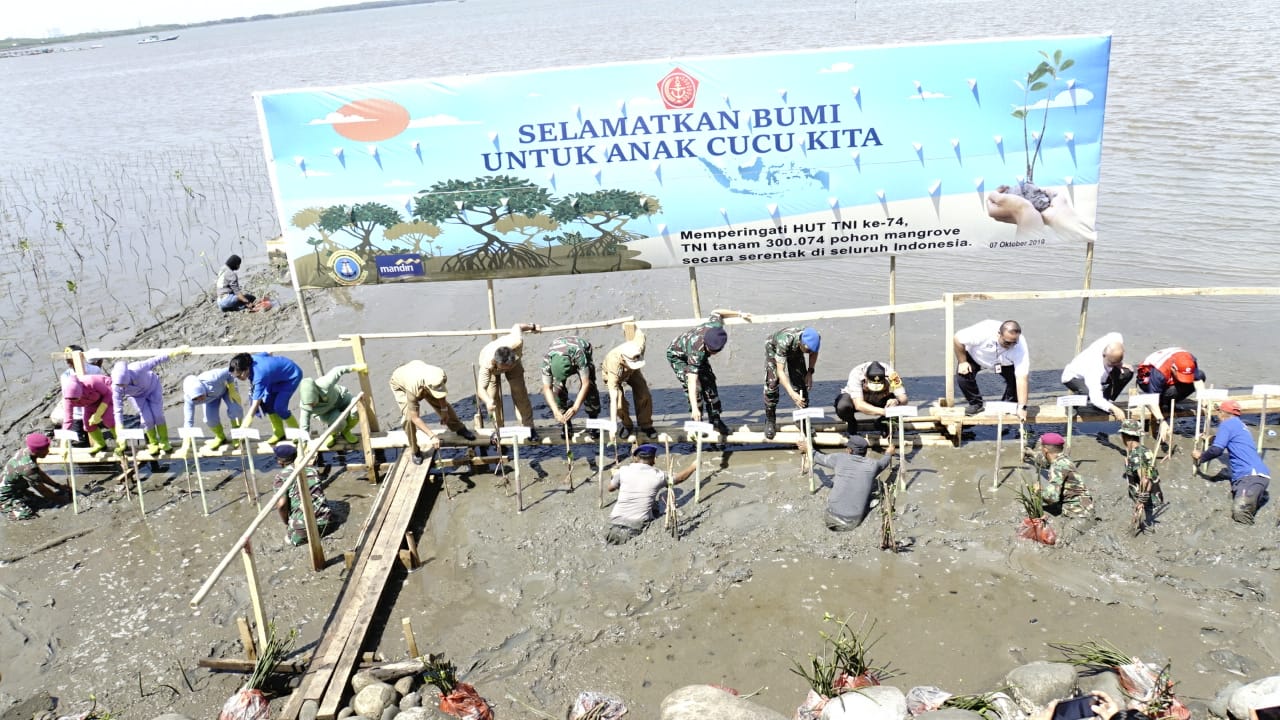 7 Ribu Bibit Mangrove Ditanam di Banyuwangi Pecahkan Rekor MURI
